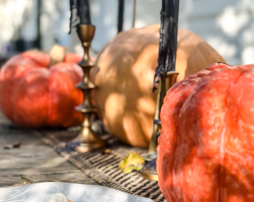 Pumpkin Cream Cheese Balls